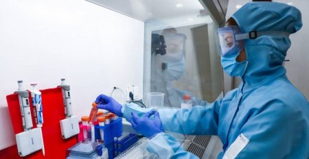 Европейским ученым удалось победить коронавирус?