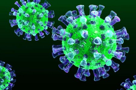 В России выявлено 10 899 новых случаев заболевания коронавирусом за сутки