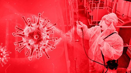 ВОЗ: еще рано говорить о второй волне коронавируса